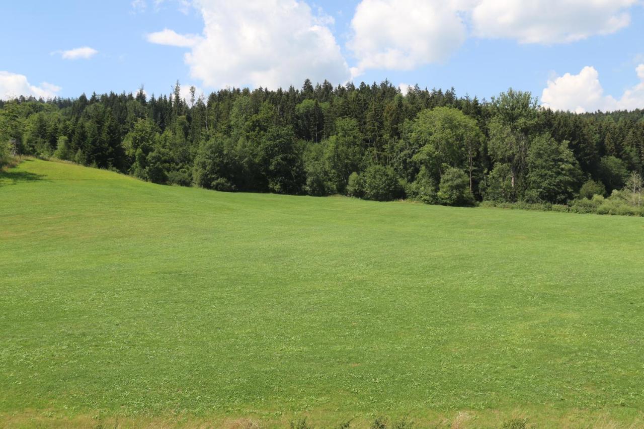 Baumkrone Im Happy Allgaeu - 2-Stoeckige Wohnung Mit Wohnnetz Leutkirch im Allgäu 外观 照片
